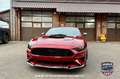 Ford Mustang Fastback 5.0 Ti-VCT GT Aut. Violett - thumbnail 7