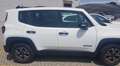 Jeep Renegade 1.0 T3 Sport Bianco - thumbnail 2