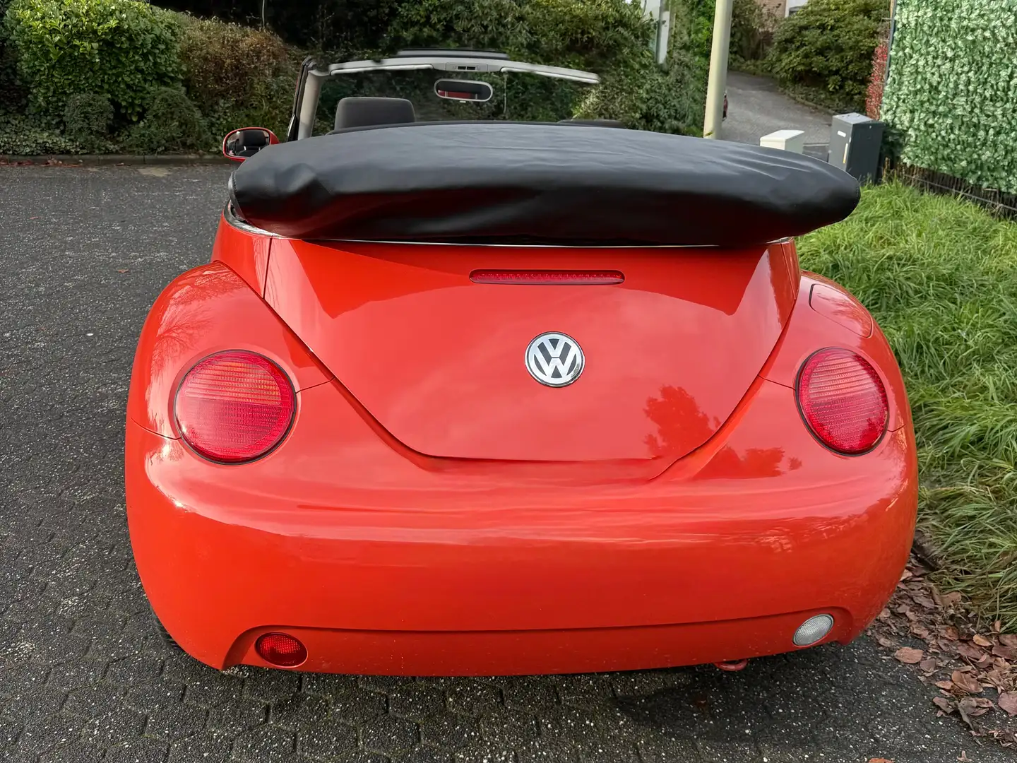 Volkswagen New Beetle New Beetle Cabriolet Cabriolet 1.4 Orange - 2