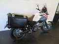 Yamaha XT 660 Z TENERE KOFFERS Weiß - thumbnail 3