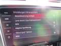 Skoda Octavia Combi RS 60 2.0TS 180kW var. LB CANTON Grey - thumbnail 29
