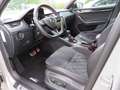 Skoda Octavia Combi RS 60 2.0TS 180kW var. LB CANTON Grey - thumbnail 15