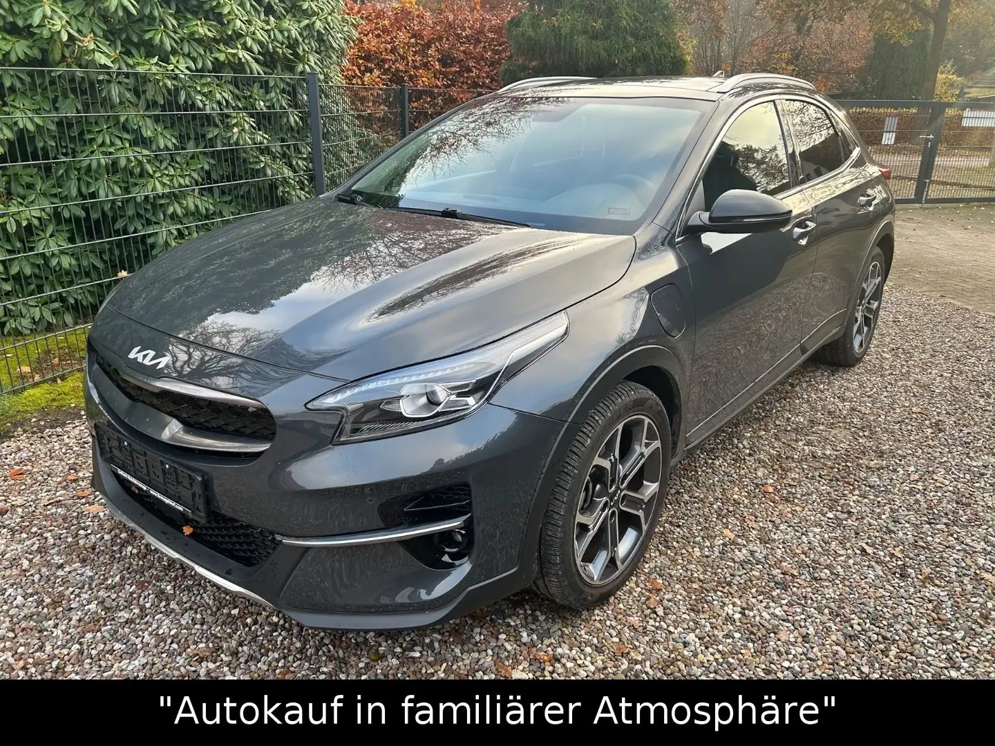Kia XCeed Platinum Edition Plug-in Hybrid PANO Grau - 1