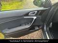 Kia XCeed Platinum Edition Plug-in Hybrid PANO Grau - thumbnail 9