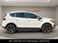 Ford Kuga Titanium 2,5 4X4-200PS-LEDER-TÜV-Panoramad. Weiß - thumbnail 7