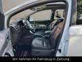 Ford Kuga Titanium 2,5 4X4-200PS-LEDER-TÜV-Panoramad. Weiß - thumbnail 9