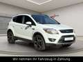 Ford Kuga Titanium 2,5 4X4-200PS-LEDER-TÜV-Panoramad. Weiß - thumbnail 3