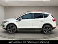 Ford Kuga Titanium 2,5 4X4-200PS-LEDER-TÜV-Panoramad. Weiß - thumbnail 8