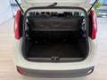 Fiat Panda 1.2 Easy Gpl 69cv my19 Bianco - thumbnail 8