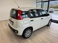 Fiat Panda 1.2 Easy Gpl 69cv my19 Bianco - thumbnail 6