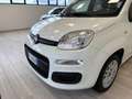 Fiat Panda 1.2 Easy Gpl 69cv my19 Bianco - thumbnail 11