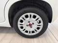 Fiat Panda 1.2 Easy Gpl 69cv my19 Bianco - thumbnail 12
