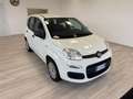 Fiat Panda 1.2 Easy Gpl 69cv my19 Bianco - thumbnail 4