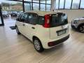 Fiat Panda 1.2 Easy Gpl 69cv my19 Bianco - thumbnail 9