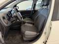 Fiat Panda 1.2 Easy Gpl 69cv my19 Bianco - thumbnail 13