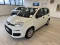 Fiat Panda 1.2 Easy Gpl 69cv my19 Bianco - thumbnail 2