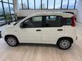 Fiat Panda 1.2 Easy Gpl 69cv my19 Bianco - thumbnail 10