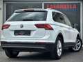 Volkswagen Tiguan Tiguan 1.4 tsi Executive 150cv dsg Bianco - thumbnail 4