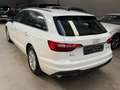 Audi A4 Avant 35 TDI/163 CV S tronic Business Bianco - thumbnail 6