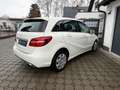 Mercedes-Benz B 180 d Score Urban + NAVI + 0% FINANZIERUNG Blanco - thumbnail 12