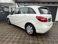 Mercedes-Benz B 180 d Score Urban + NAVI + 0% FINANZIERUNG Blanco - thumbnail 13