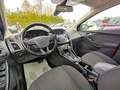 Ford Focus 1.5d 120cv CRUISE CONTROL CLIMA AUTO CERCHI LEGA Nero - thumbnail 7