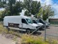 Mercedes-Benz Sprinter II Maxi XL 316 CDI - TÜV 10.26 Blanco - thumbnail 19