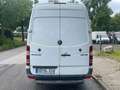 Mercedes-Benz Sprinter II Maxi XL 316 CDI - TÜV 10.26 Blanco - thumbnail 8