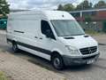 Mercedes-Benz Sprinter II Maxi XL 316 CDI - TÜV 10.26 Blanco - thumbnail 17
