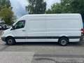 Mercedes-Benz Sprinter II Maxi XL 316 CDI - TÜV 10.26 Blanco - thumbnail 6