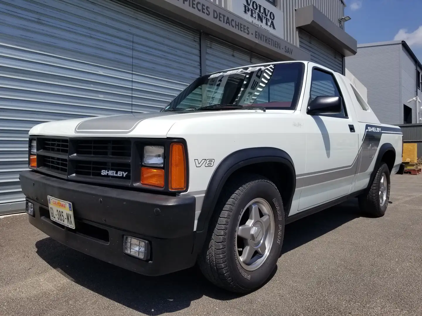 Dodge Dakota SHELBY Bianco - 2