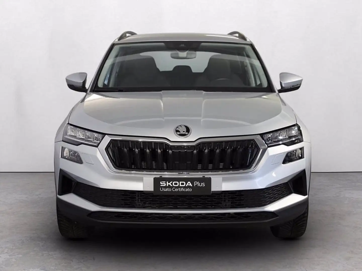 Skoda Karoq 1.0 tsi executive 115cv Gris - 2
