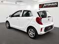 Kia Picanto 1,0 MPI Titan | GEPFLEGTER ZUSTAND | PICKERL BI... Weiß - thumbnail 3