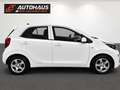 Kia Picanto 1,0 MPI Titan | GEPFLEGTER ZUSTAND | PICKERL BI... Weiß - thumbnail 5