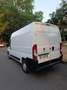 Peugeot Boxer 2.0 130 cv 11/2019 - thumbnail 8