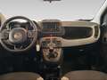 Fiat New Panda 1.0 FireFly Hybrid City Life Gri - thumbnail 14