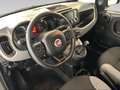 Fiat New Panda 1.0 FireFly Hybrid City Life Gri - thumbnail 12