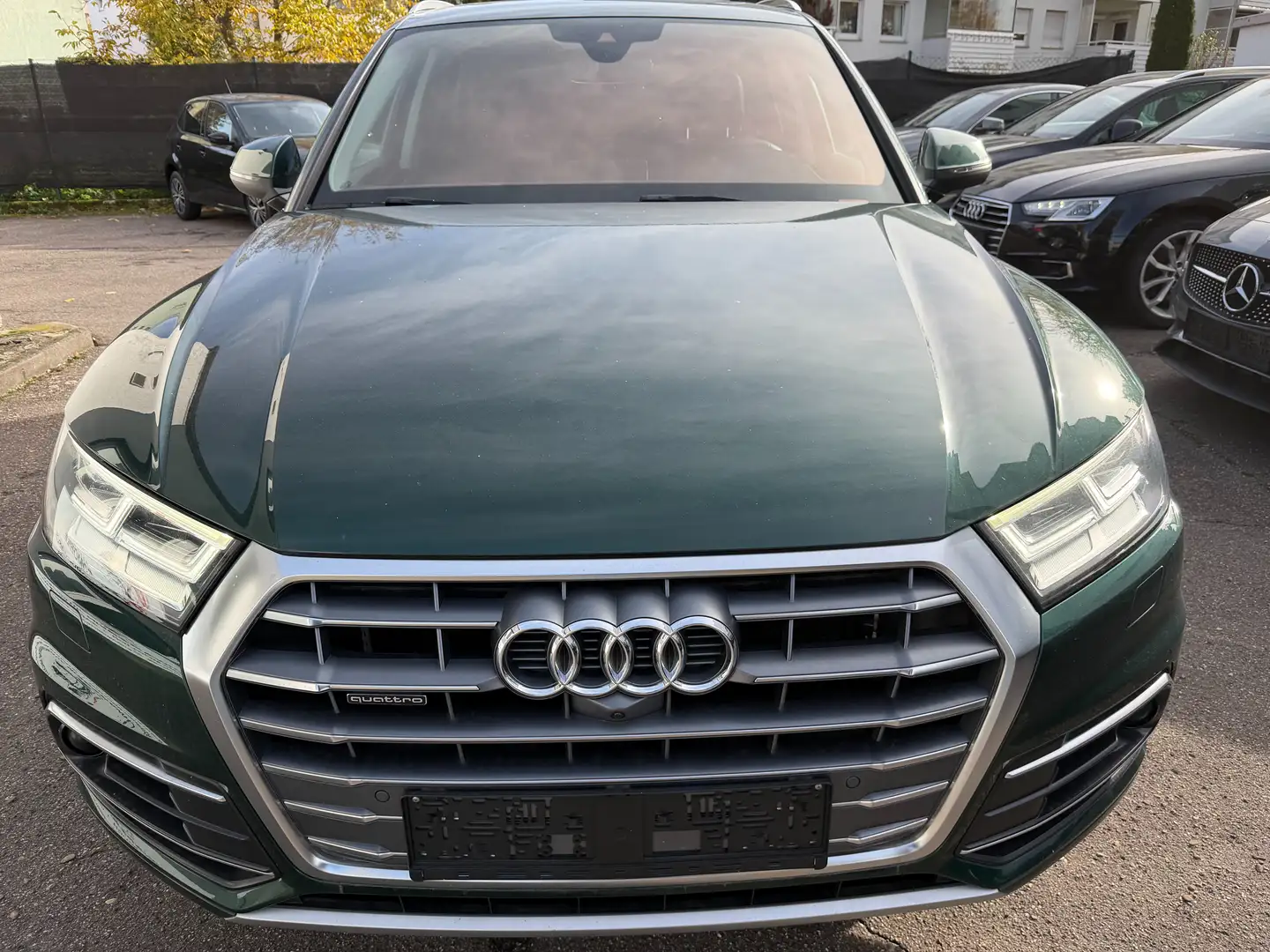 Audi Q5 40 TDI quattro sport PANO 360 Grad Grün - 2