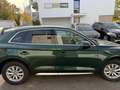 Audi Q5 40 TDI quattro sport PANO 360 Grad Grün - thumbnail 4