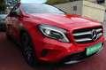 Mercedes-Benz GLA 200 URBAN NIGHT PANORAMA KLIMA XENON PDC 2Hd Rot - thumbnail 17