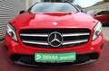 Mercedes-Benz GLA 200 URBAN NIGHT PANORAMA KLIMA XENON PDC 2Hd Rot - thumbnail 13