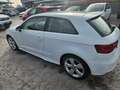 Audi A3 1.6 TDI Ambition Bianco - thumbnail 10