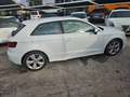 Audi A3 1.6 TDI Ambition Bianco - thumbnail 14