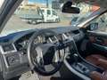 Land Rover Range Rover Sport Range Rover Sport 3.6 TDV8 HSE Bianco - thumbnail 13