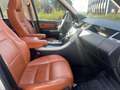 Land Rover Range Rover Sport Range Rover Sport 3.6 TDV8 HSE Bianco - thumbnail 15