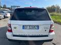 Land Rover Range Rover Sport Range Rover Sport 3.6 TDV8 HSE Bianco - thumbnail 9