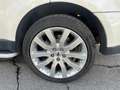 Land Rover Range Rover Sport Range Rover Sport 3.6 TDV8 HSE Bianco - thumbnail 10