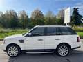 Land Rover Range Rover Sport Range Rover Sport 3.6 TDV8 HSE Bianco - thumbnail 5