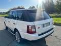 Land Rover Range Rover Sport Range Rover Sport 3.6 TDV8 HSE Bianco - thumbnail 7