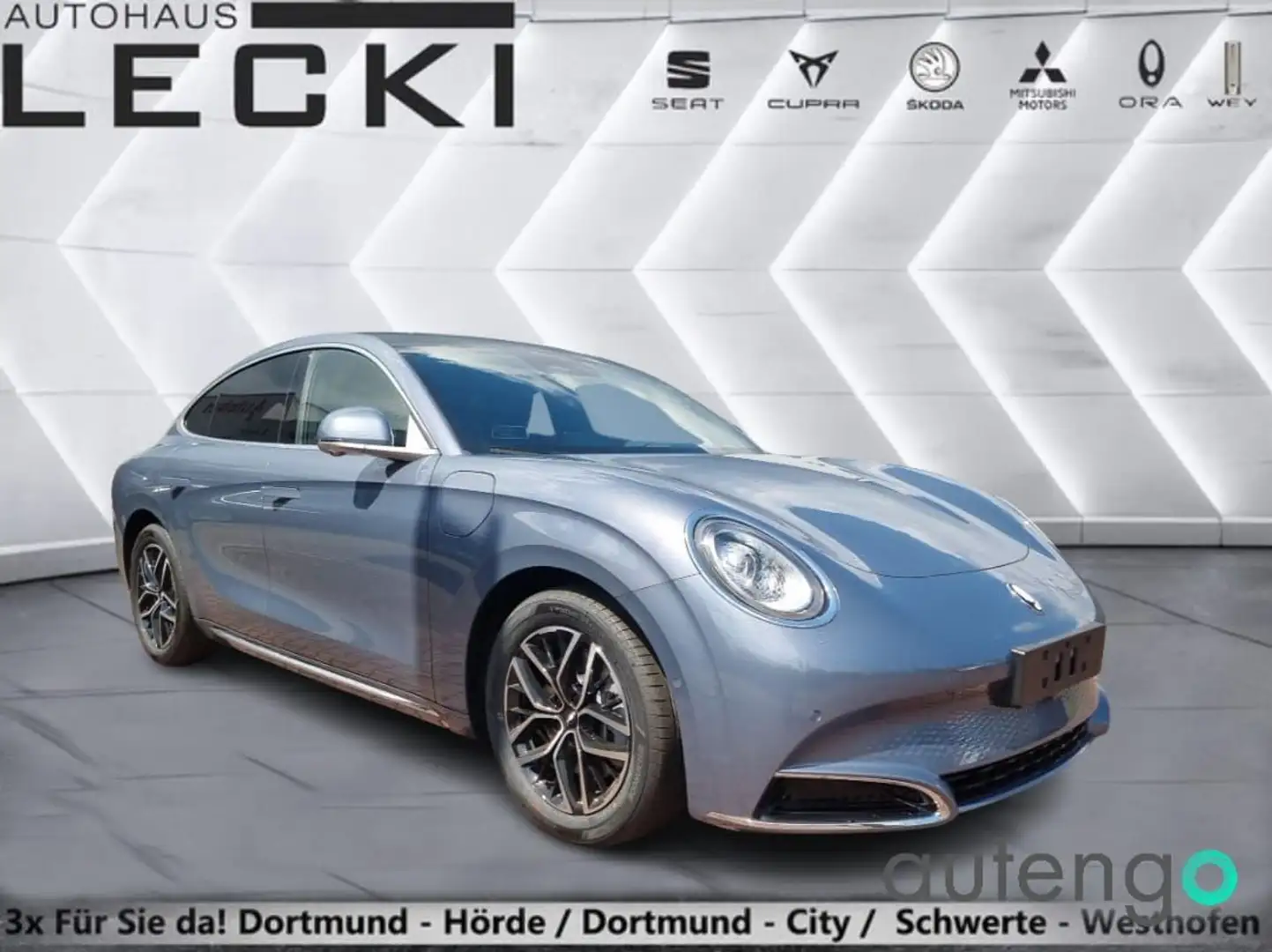 GWM ORA 07 Pro Grau - 1